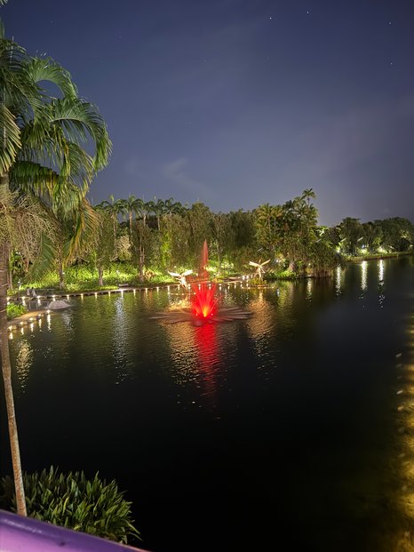 Ausblick Gardens by the bay bei Nacht